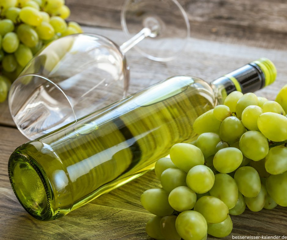 BesserwisserK's tweet photo. 9. Mai 2025 - Moscatotag
Der Moscatotag, der jährlich am 9. Mai gefeiert wird, ist eine wunderbare Gelegenheit, um die aromatische und süße Moscato-Traube zu ehren.
#Aktionstag #Grappe #Moscatotag #Traube #Wein
https://t.co/E63K8szPsG https://t.co/OLMbrP9bkk