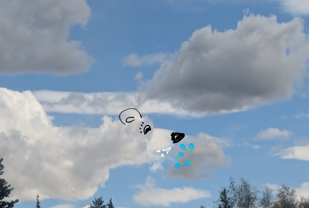 ak_julee's tweet image. From the people who call a man in women&apos;s clothing a &quot;woman&quot; 
Just because people are to lazy to understand what photoshop is doesn&apos;t mean a doodle on these clouds was photoshopped nothing of the original photo was &quot;manipulated&quot; 
#lazybrain