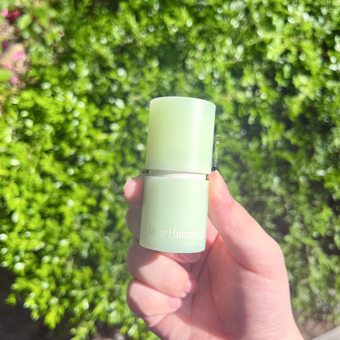 차라리 tweet media