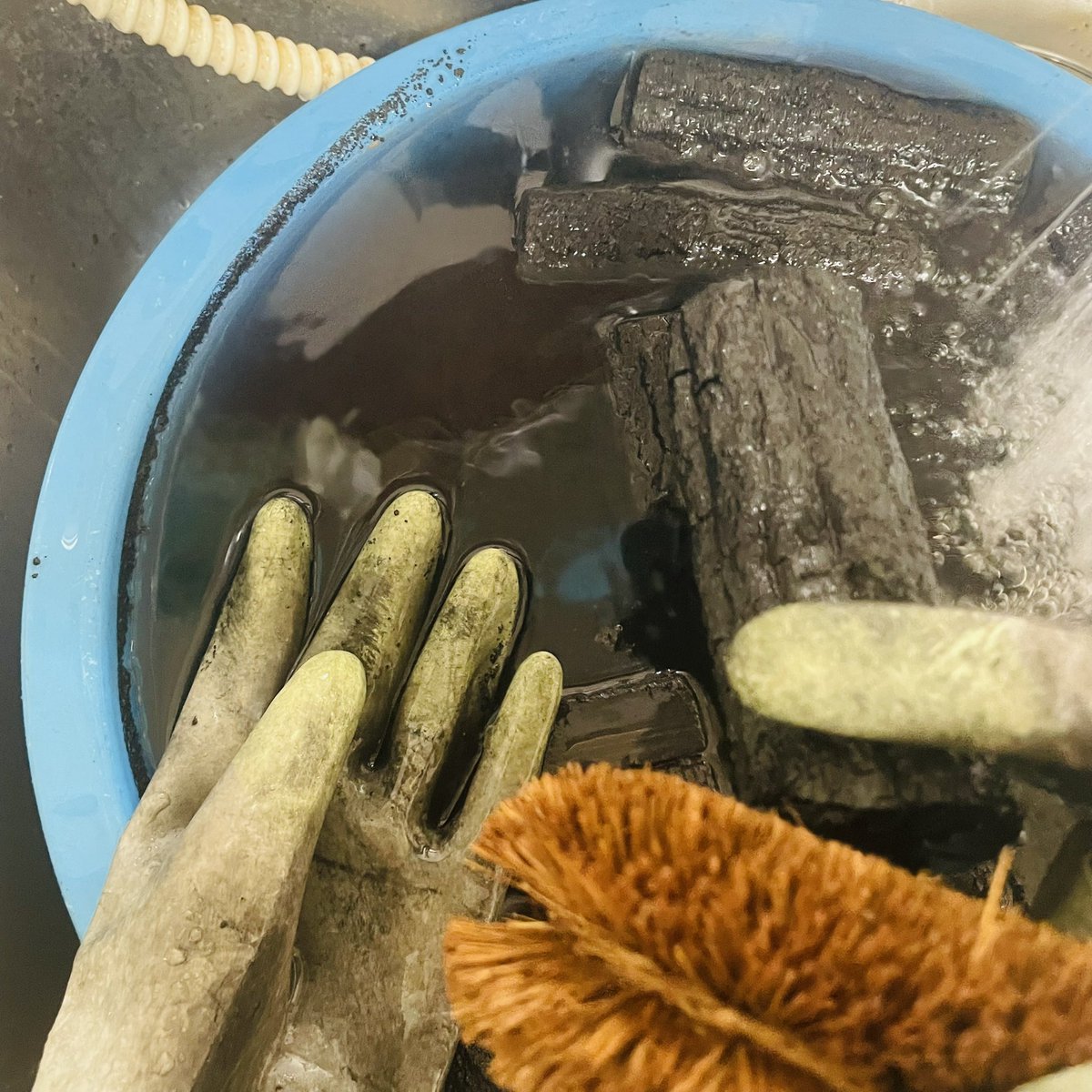 5月　GWは風炉の準備
鉄風炉に丸灰
昨年の灰にほうじ茶をかけて天日干し、篩をかける
風炉用の炭をタワシで洗い天日干し

#表千家 #茶道教室　#茶道
#立川　#立川市
#茶道と着付けと華道の教室
#丸灰　#灰作り
#着付け教室
#和文化教室