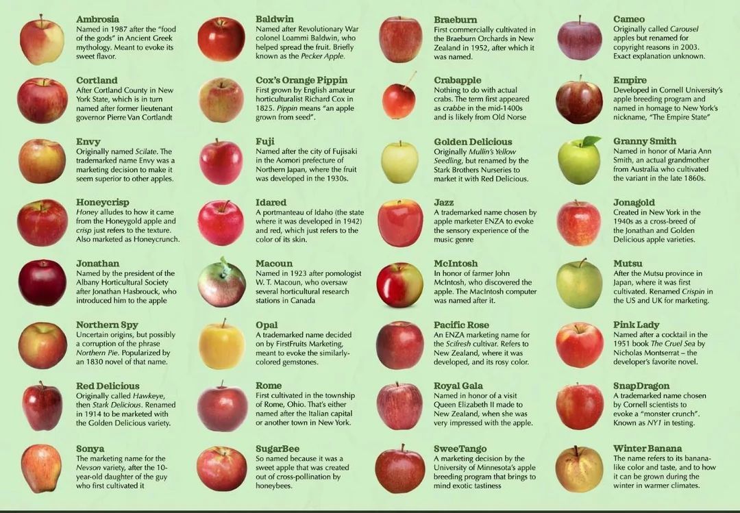 A cool guide to Apples