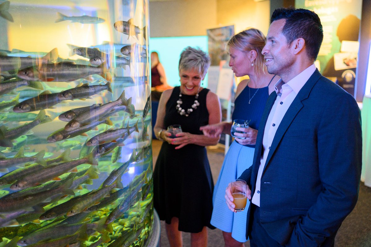 Need a last-minute Mother's Day gift? Get tickets to Nights at the Aquarium: Mother's Day edition on May 10 and 11! Reserve your table now at vanaqua.org/explore/specia…