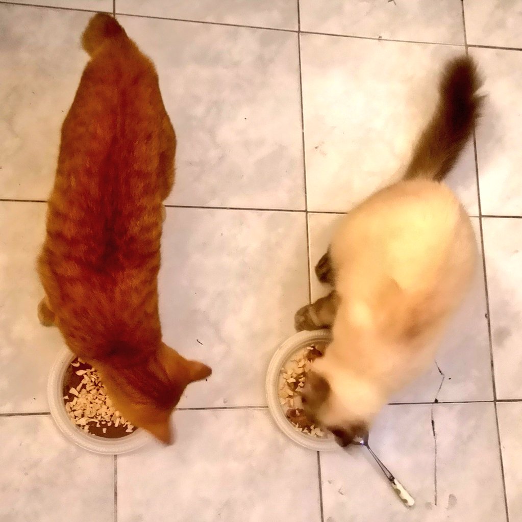 Alhamdulillah ☝🏼

Just wanna say a big thank you to <a href="/vibhu/">vibhu</a> and team — for building this space, and for standing by us creators when it felt like no one else cared. That kind of support… we don’t forget it. Truly grateful. 🫶

To the collectors who are still here, still showing