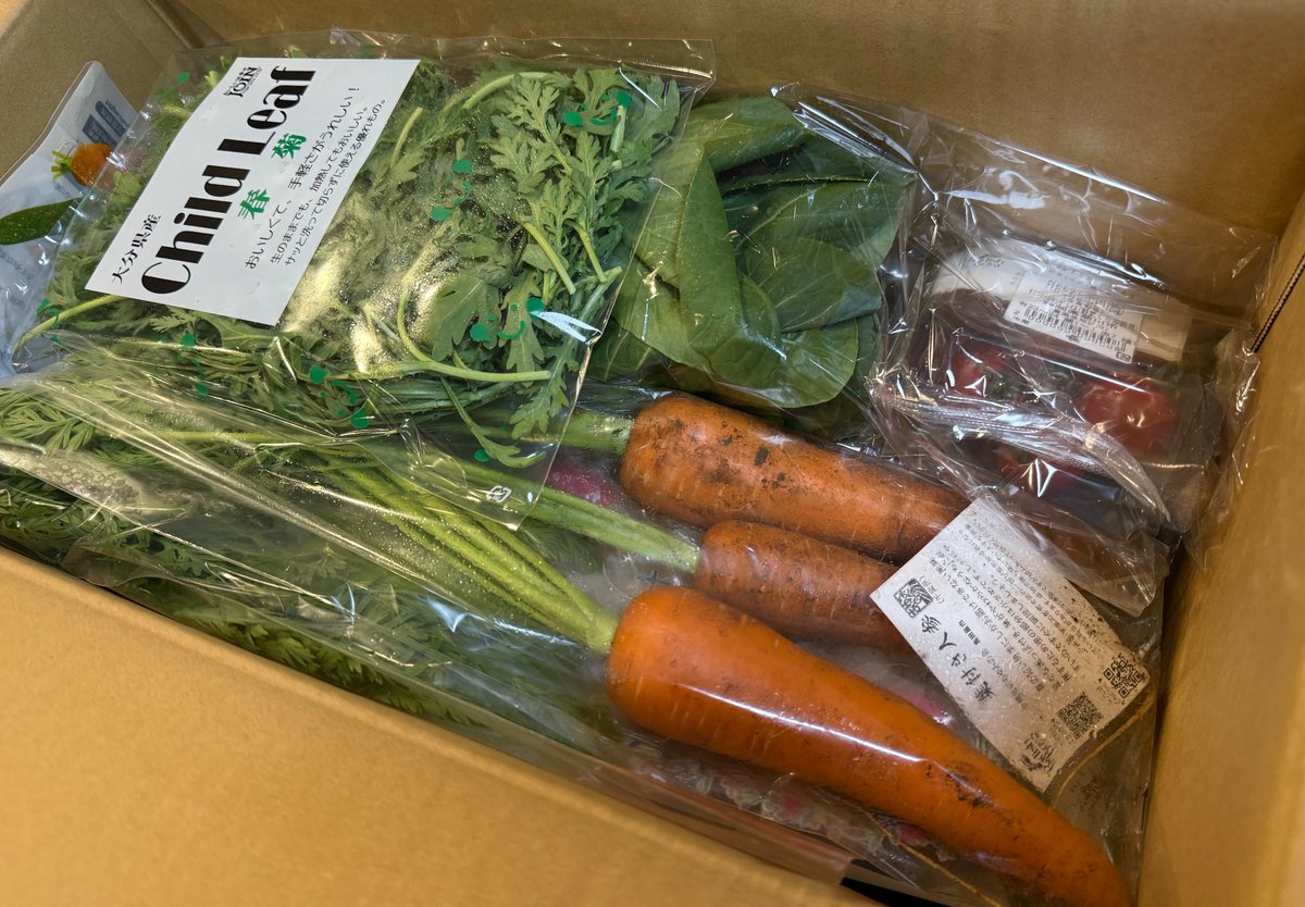 x_alborithm's tweet image. らでぃっしゅぼーや &quot;おためしセット&quot; が届いた🎉

このボリュームで1,980円は凄すぎ...！
新鮮な野菜たちを見て、妻も大変ご機嫌です😊

radishbo-ya.co.jp/admission/lp/t…