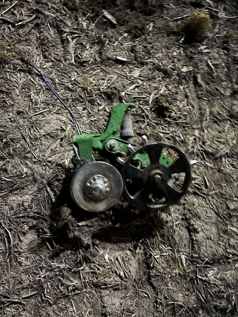 casey pederson tweet media