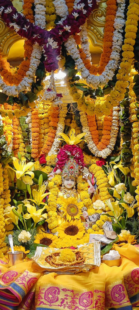 Maa Baglamukhi is propitiated with yellow offerings by devotees dressed in yellow, seated on a yellow cloth.