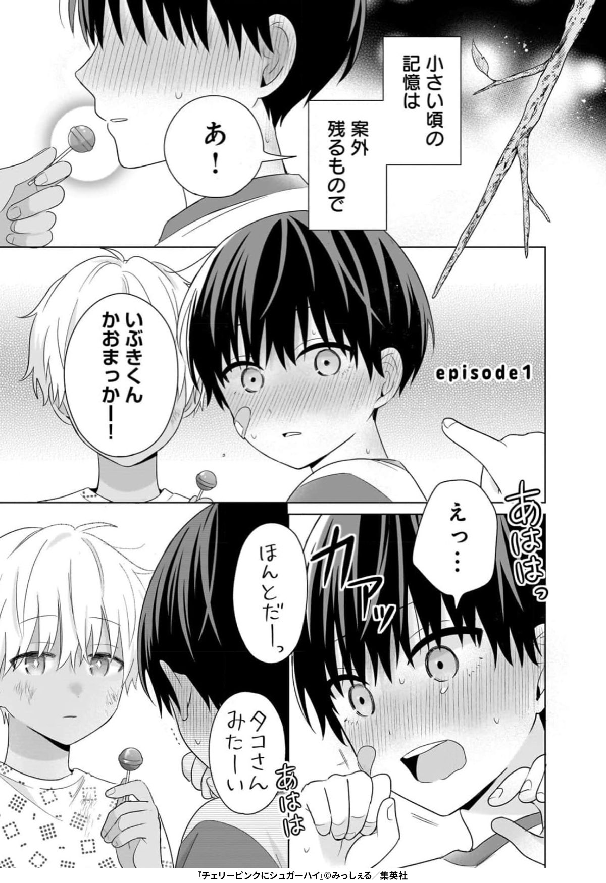 チェリーピンクにシュガーハイ チェリーピンクにシュガーハイ／みっしぇる | 集英社 ― SHUEISHA ―