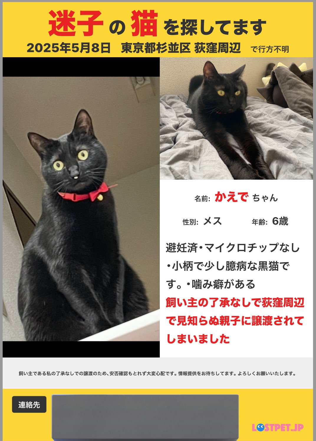 猫B 最終値下げしました！ 猫B 最終値下げしました！ 桜🌸SAKU on X: