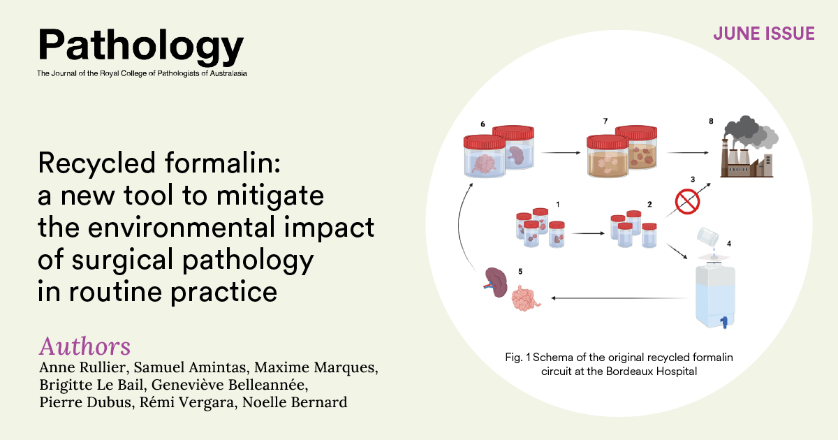 Pathology Journal (@pathology_rcpa) on Twitter photo The discipline of #pathology in Australia has made a strong commitment to greener practice. In the June issue of Pathology, free to read for the next two months, we feature an editorial by Dr Simone Van Es, RCPA representative on <a href="/TheRACP/">The Royal Australasian College of Physicians</a> Health and Climate Change MultiCollege The discipline of #pathology in Australia has made a strong commitment to greener practice. In the June issue of Pathology, free to read for the next two months, we feature an editorial by Dr Simone Van Es, RCPA representative on <a href="/TheRACP/">The Royal Australasian College of Physicians</a> Health and Climate Change MultiCollege