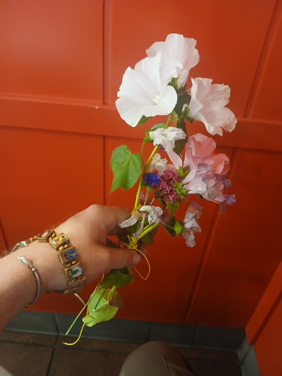 InflammaSean's tweet image. Can&apos;t tip at fastfood restaurants; so have the bouquet of sidewalk flowers, cariad

#townbidniss  #flowerReport #joyInSpring