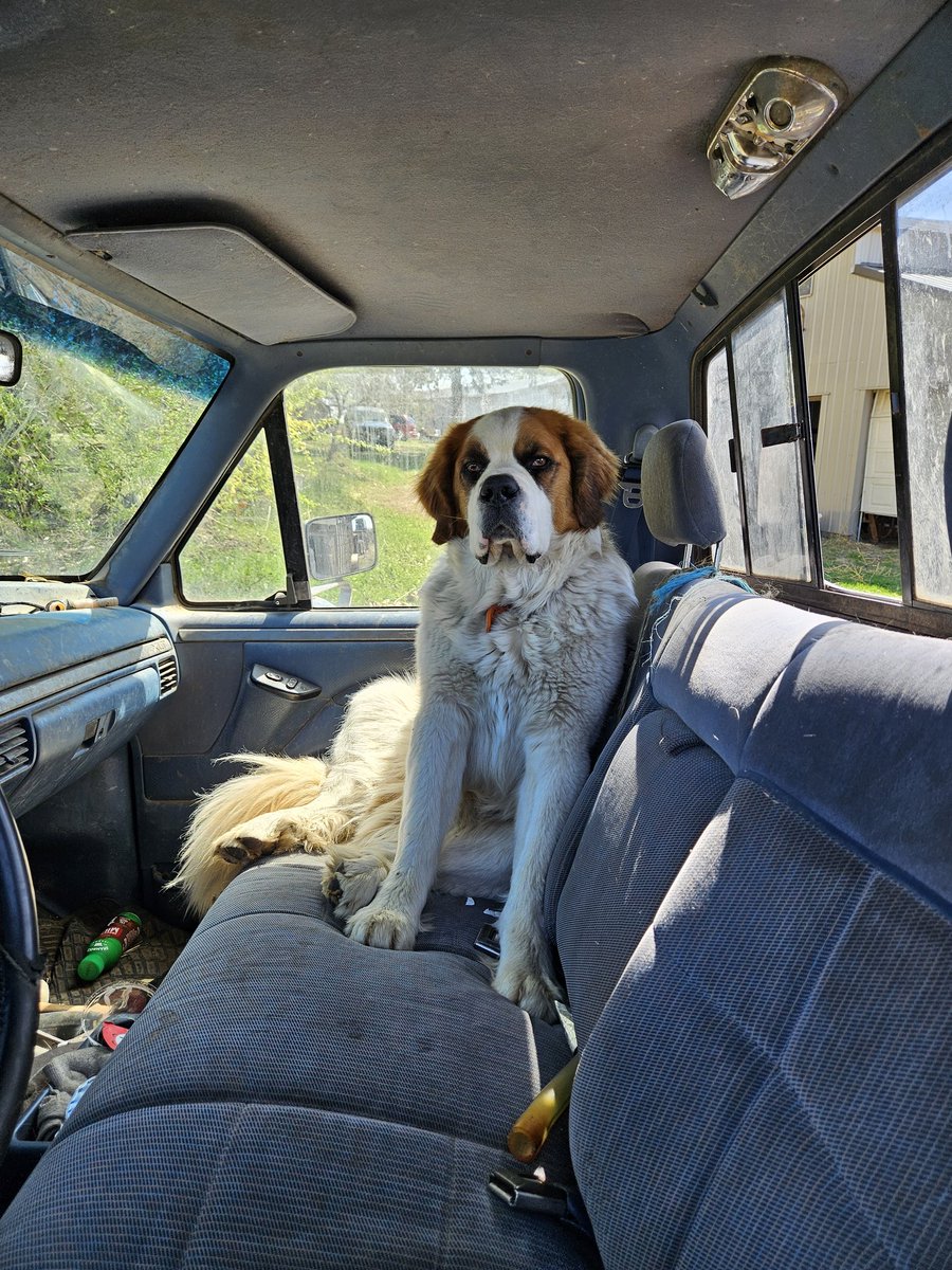 Jessica Staricka tweet media