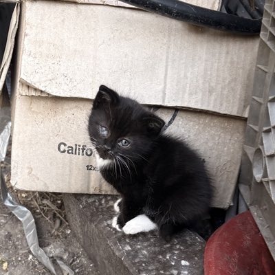 Juni 🇲🇽 tweet media