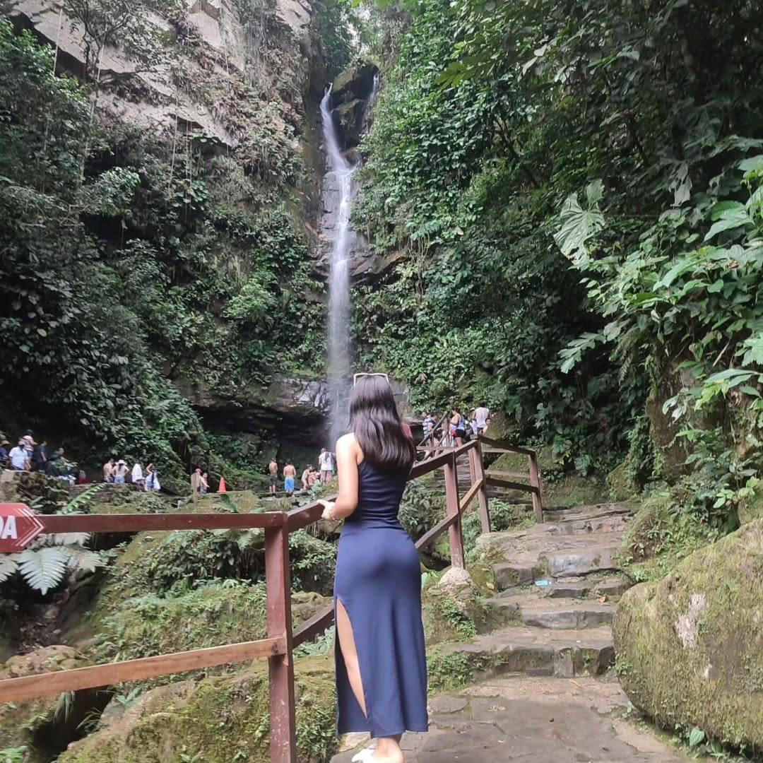 view