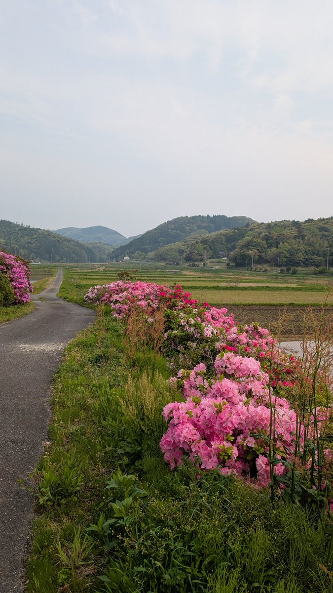 ムカついた分、誰かに優しくする

傷ついた分、誰かに深く優しくあれますように