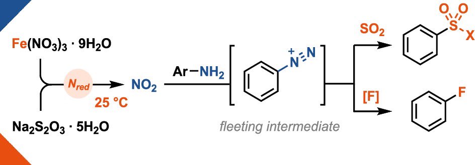 Ritter Lab (@ritter_lab) on Twitter photo Nitrate reduction at 25 °C? A little iron is all it takes! 🪄 The use of cheap iron(III) nitrate (30€ per kg!) enables the in-situ generation of aryldiazonium salts which can be engaged in sulfonylation & fluorination reactions!
Out now in <a href="/J_A_C_S/">J. Am. Chem. Soc.</a> 🔓
pubs.acs.org/doi/10.1021/ja… Nitrate reduction at 25 °C? A little iron is all it takes! 🪄 The use of cheap iron(III) nitrate (30€ per kg!) enables the in-situ generation of aryldiazonium salts which can be engaged in sulfonylation & fluorination reactions!
Out now in <a href="/J_A_C_S/">J. Am. Chem. Soc.</a> 🔓
pubs.acs.org/doi/10.1021/ja…