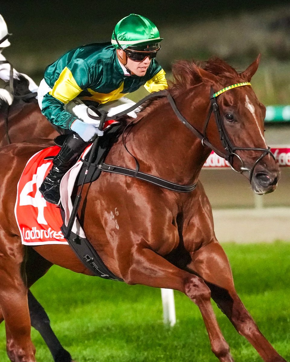Winners at Geelong &amp; Cranbourne ✅

All in a days work for jockey <a href="/WILLPRICE50/">Will Price</a> 🙌