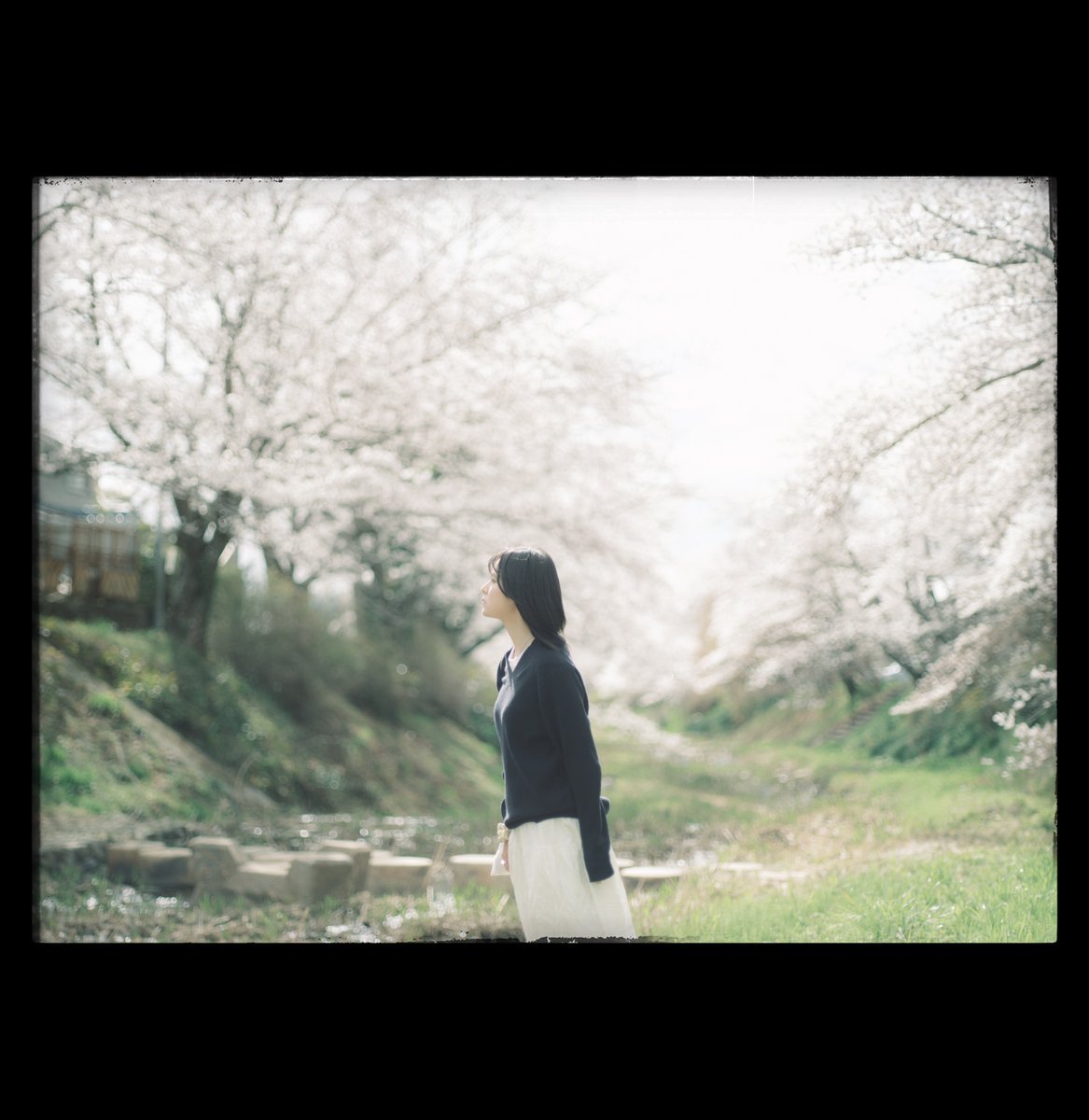 ひなた (@ph_hinata) on Twitter photo 