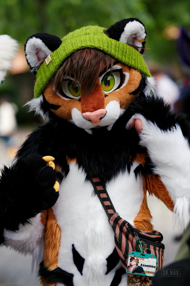 [13]

🐾: <a href="/AxomUma/">🌲Luca/Uma🌲🔜 NFC</a> 
📍: #Ibercon
