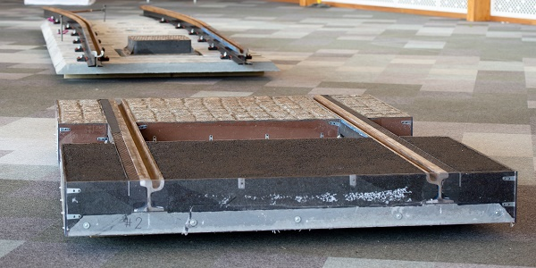 Samuel Hughes tweet media