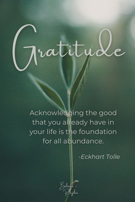 TrainingMindful's tweet photo. #Gratitude #GratefulHeart #Grateful https://t.co/PibDUYf0O3