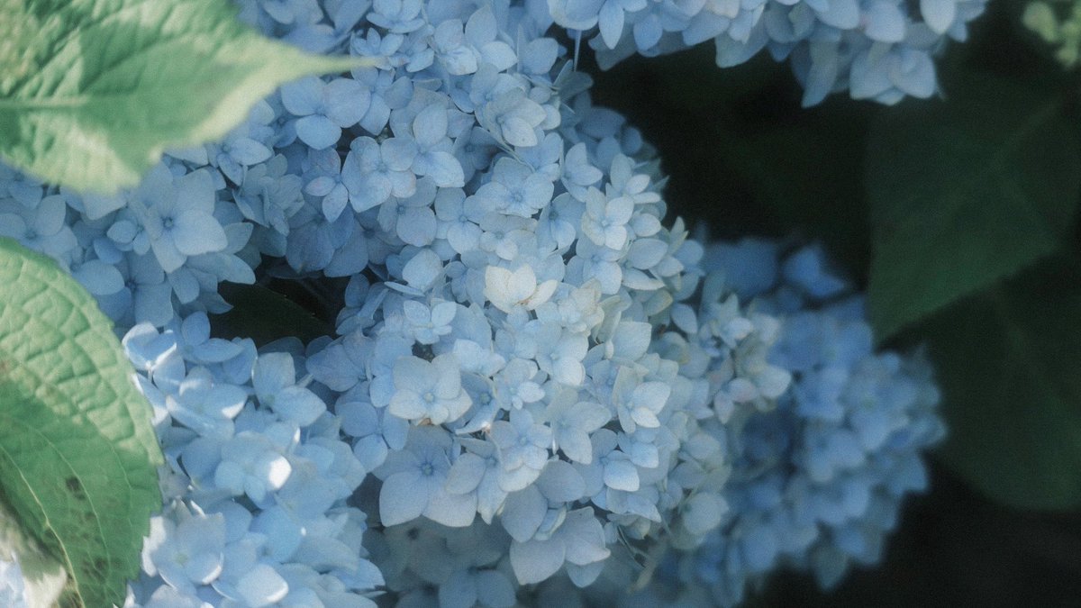 atmarkaoi's tweet image. 