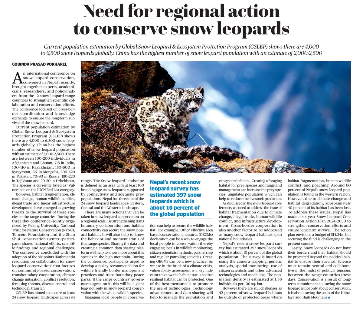 Gobinda Pokharel🐦🌿☁ (@gobindapkl) on Twitter photo Nepal can take regional leadership not just in snow leopard conservation but for other species too. Amid South Asia’s ongoing power dynamics, Nepal has the opportunity to lead. My article on regional cooperation and conservation diplomacy.
<a href="/snowleopards/">Snow Leopard Trust</a> <a href="/SnowLeopardNet/">Snow Leopard Network</a> Nepal can take regional leadership not just in snow leopard conservation but for other species too. Amid South Asia’s ongoing power dynamics, Nepal has the opportunity to lead. My article on regional cooperation and conservation diplomacy.
<a href="/snowleopards/">Snow Leopard Trust</a> <a href="/SnowLeopardNet/">Snow Leopard Network</a>