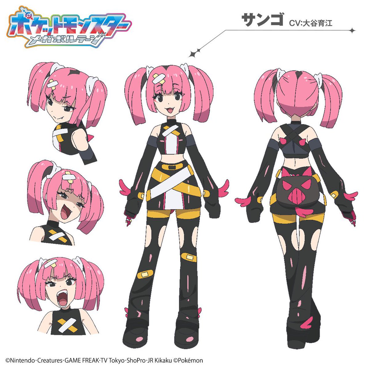 私のナマコブシ PokePoke] The craftsmanship of 