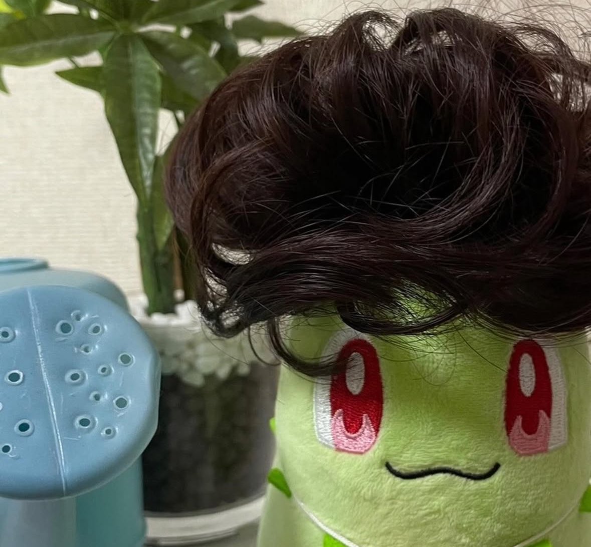 (T . T)
うわぁぁん

お祭り用のお団子に着ける髪、被らされたチコ😭