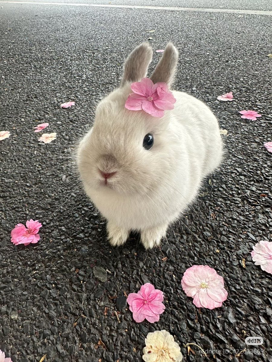 Lily ✮⋆˙ tweet media