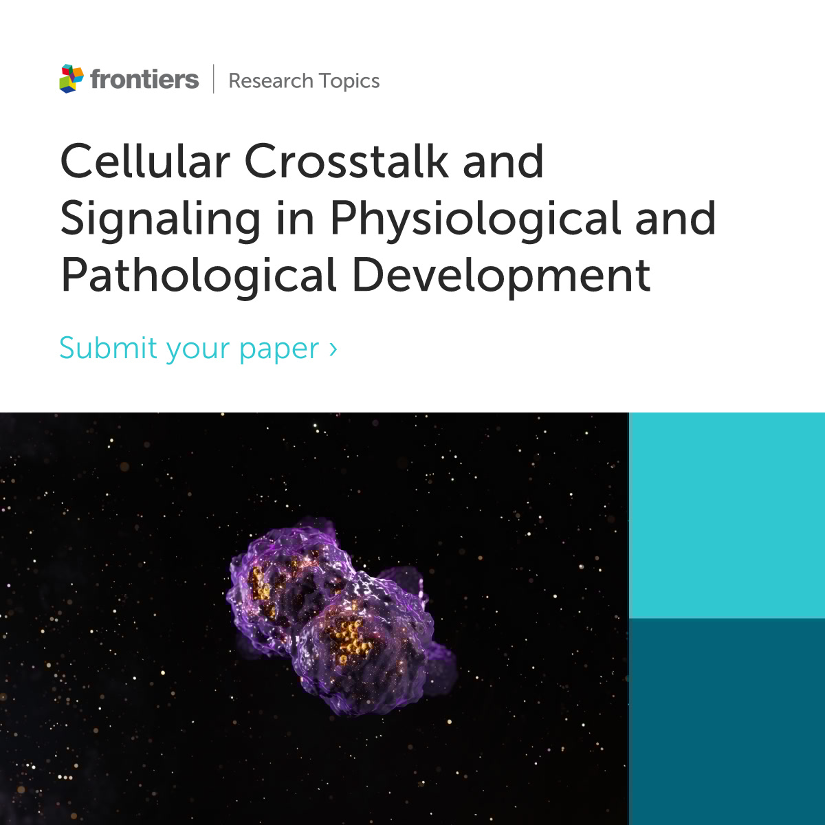 Frontiers - Cell Biology (@frontcelldevbio) on Twitter photo 🔬Check our latest Research Topic on the complex biological interactions in the tumor microenvironment. Led by Drs. Masciarelli, Fazi, Tito and Delva
Submit your paper👉fro.ntiers.in/RT68934 
#cancer #tme #research #signaling #biology #CellDevBio 🔬Check our latest Research Topic on the complex biological interactions in the tumor microenvironment. Led by Drs. Masciarelli, Fazi, Tito and Delva
Submit your paper👉fro.ntiers.in/RT68934 
#cancer #tme #research #signaling #biology #CellDevBio
