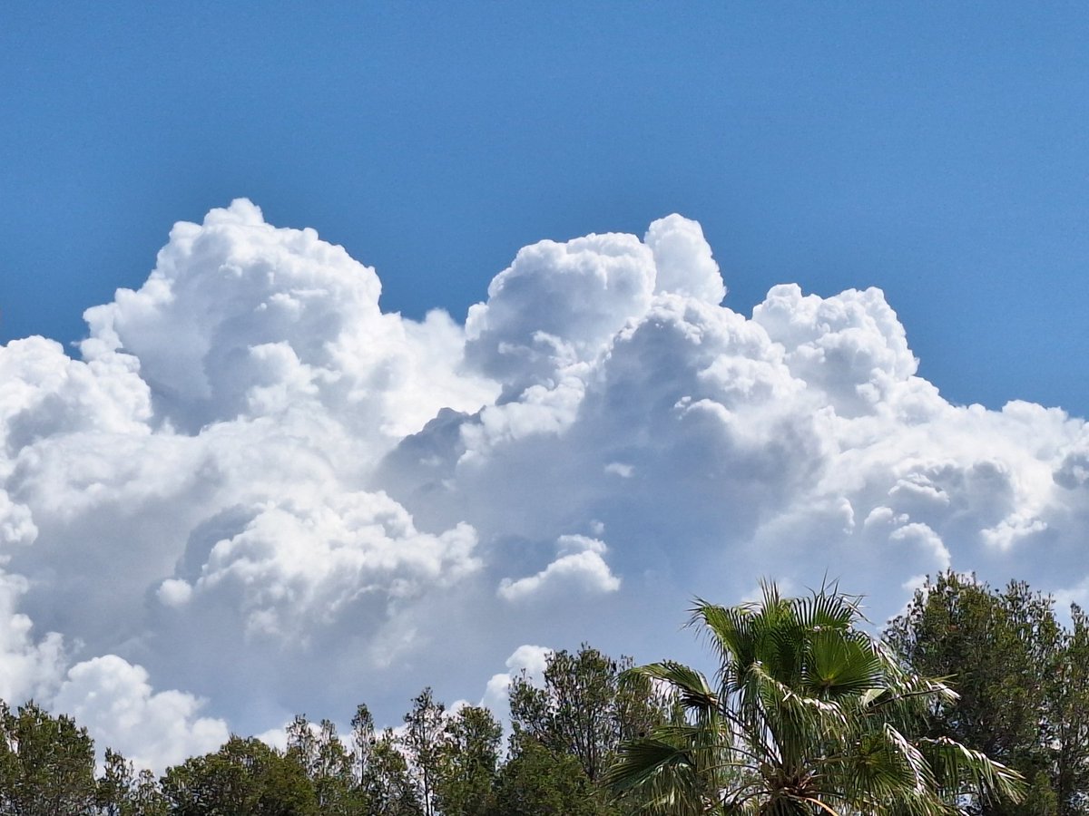Bendinat, mirant cap a s'interior de Mallorca.
<a href="/MiquelSalamanca/">Miquel Salamanca</a> 
<a href="/AEMET_Baleares/">AEMET_Baleares</a> 
<a href="/TempsIB3/">El temps IB3</a>