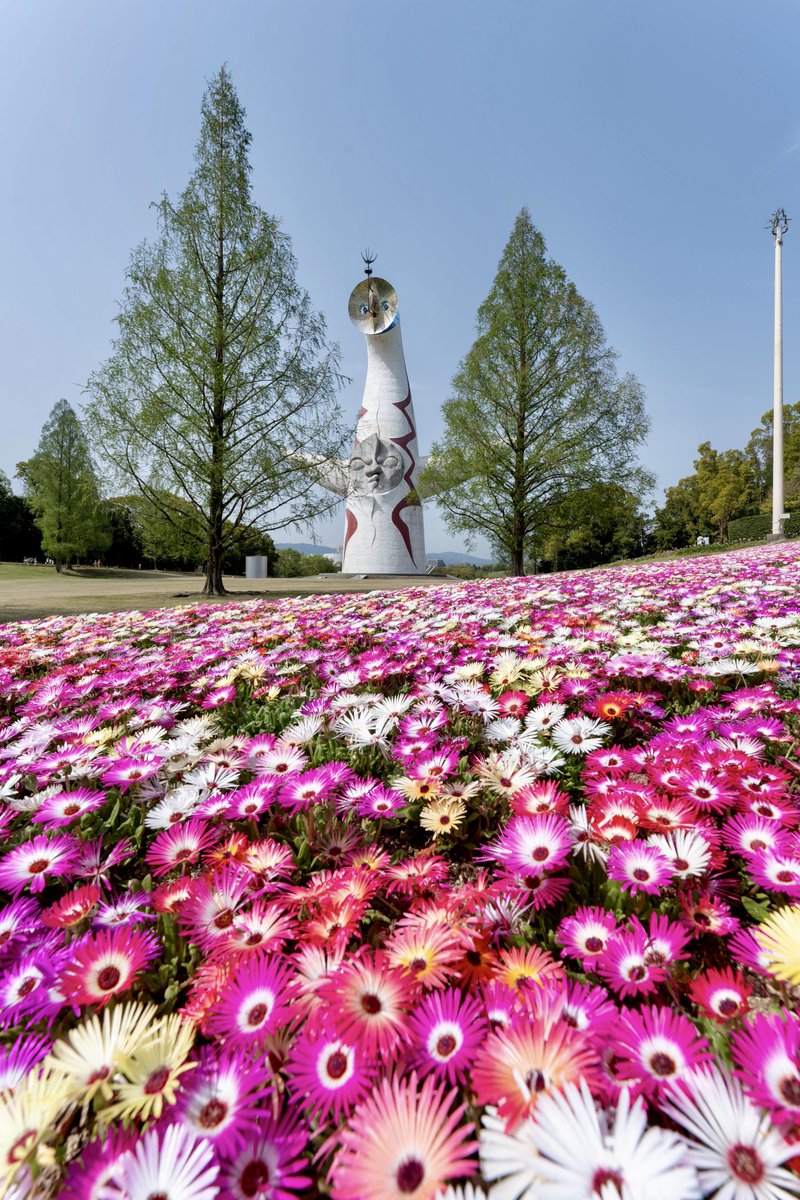 擬態してるつもり？
太陽の塔がかわいい😍