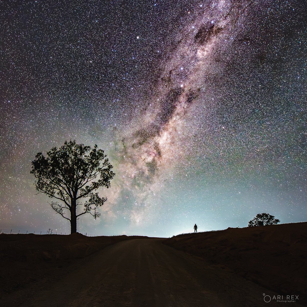 All the light of stars in this photo travelled over 350 years before hitting my sensor.
Life’s short, make art, play, take photos, do what you love.

2 spots left in my Advanced Milky Way workshop (2 weeks away).
Join me, level up your night sky game!

#MilkyWayWorkshopCanberra