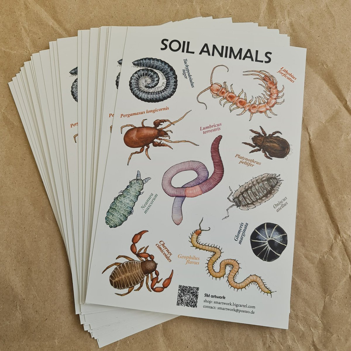 Svenja Meyer tweet media