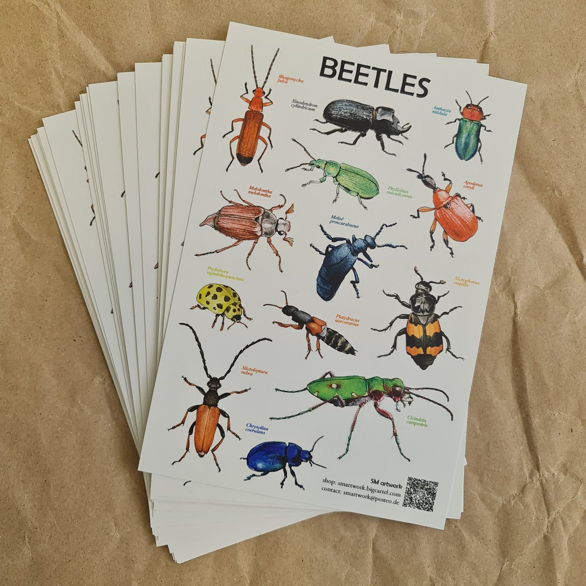 Svenja Meyer tweet media