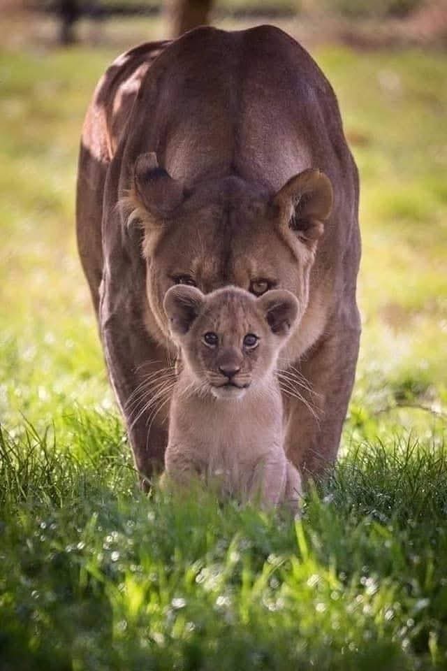 Steve Hardy🏳️🌈 (@stevehardyldn) on Twitter photo Positivity! <a href="/Matty473/">Matty</a> <a href="/pagelloyd29/">Lloyd Page</a> <a href="/ciarale01/">Ciara Lawrence</a> <a href="/GaryBourlet/">Gary Bourlet</a> <a href="/sarah_gordy/">Sarah Gordy</a> <a href="/HannahR19960047/">Hannah Raven</a> <a href="/mccluskeypaul71/">Paul James McCluskey</a> <a href="/Simoncramp45/">Simon crampCIH</a> <a href="/sirjordansmith/">Jordan Smith</a> <a href="/carterjenny16/">Jenny Carter Also on blue sky</a> <a href="/FeralMother44/">🫶🏼Sarah ‘Hope Is Everything’ Dalton🫶🏼</a> <a href="/forfarv7/">Vicky Forfar Also on Bluesky</a> @DanceSyndromeUK <a href="/Hayleyburwood2/">Hayley burwood</a> <a href="/mrscottwatkin/">MrScottWatkin</a> <a href="/Aaronhume2018/">Aaron Hume</a> <a href="/tommyjessop/">Tommy Jessop</a> <a href="/fionnathan/">fionnathan</a> Positivity! <a href="/Matty473/">Matty</a> <a href="/pagelloyd29/">Lloyd Page</a> <a href="/ciarale01/">Ciara Lawrence</a> <a href="/GaryBourlet/">Gary Bourlet</a> <a href="/sarah_gordy/">Sarah Gordy</a> <a href="/HannahR19960047/">Hannah Raven</a> <a href="/mccluskeypaul71/">Paul James McCluskey</a> <a href="/Simoncramp45/">Simon crampCIH</a> <a href="/sirjordansmith/">Jordan Smith</a> <a href="/carterjenny16/">Jenny Carter Also on blue sky</a> <a href="/FeralMother44/">🫶🏼Sarah ‘Hope Is Everything’ Dalton🫶🏼</a> <a href="/forfarv7/">Vicky Forfar Also on Bluesky</a> @DanceSyndromeUK <a href="/Hayleyburwood2/">Hayley burwood</a> <a href="/mrscottwatkin/">MrScottWatkin</a> <a href="/Aaronhume2018/">Aaron Hume</a> <a href="/tommyjessop/">Tommy Jessop</a> <a href="/fionnathan/">fionnathan</a>