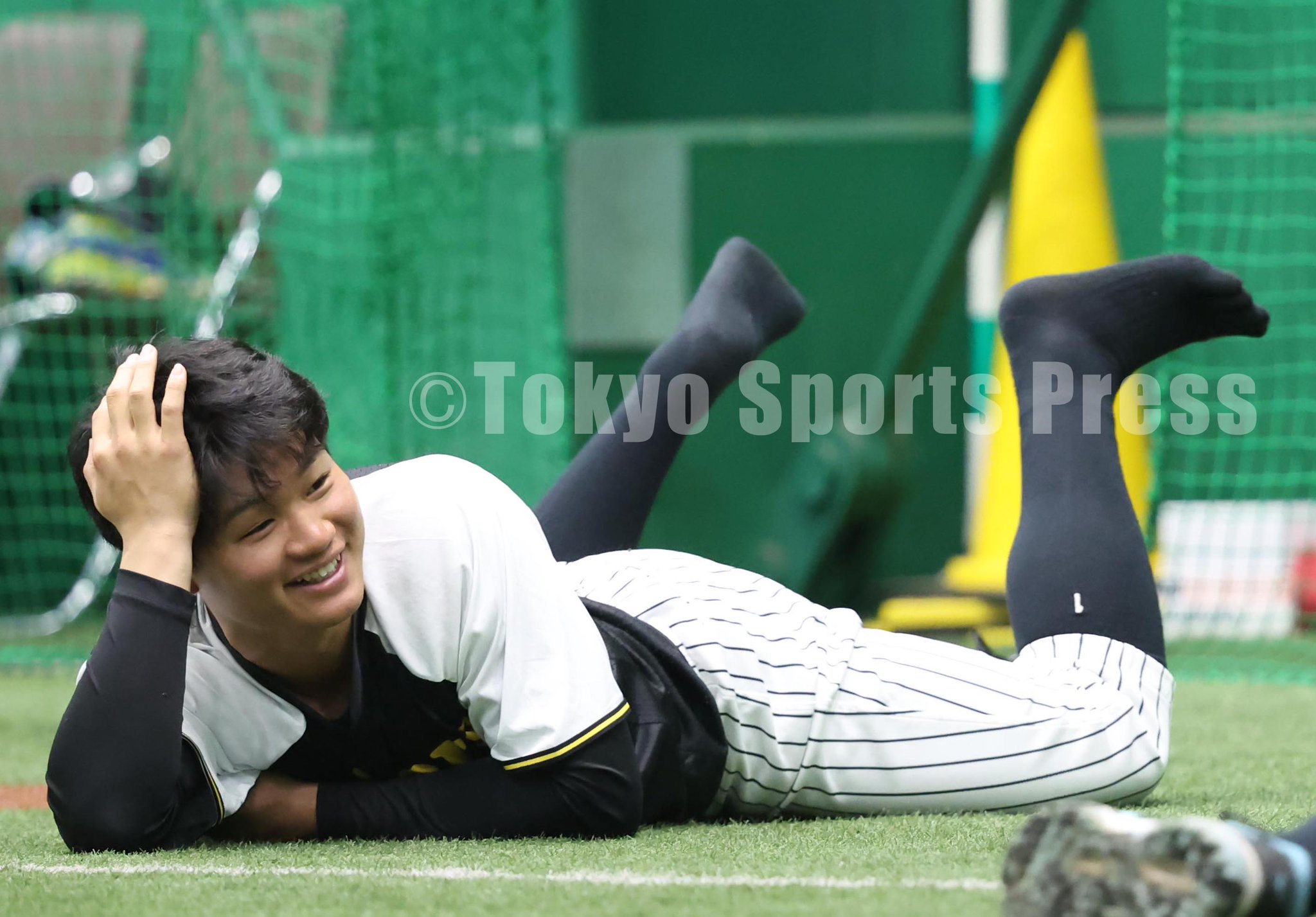 阪神タイガース 2023優勝記念DVD 中野拓夢 森下翔太 木浪聖也 DVD