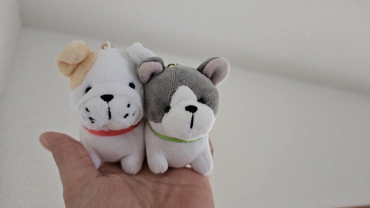 keyraamints's tweet image. #fourthgemini #4may 
Bulldog au

Masa Lalu

Guntur menemukan fakta bahwa Fahri adalah salah satu kenangan masa lalunya yang berharga.
Si bulldog.