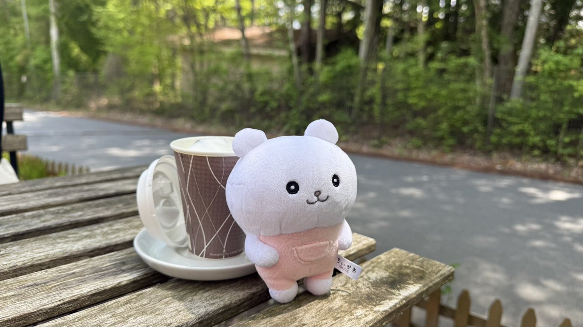 mayugenosato's tweet photo. モーニングブレイク☕️ https://t.co/4OQNurjysY