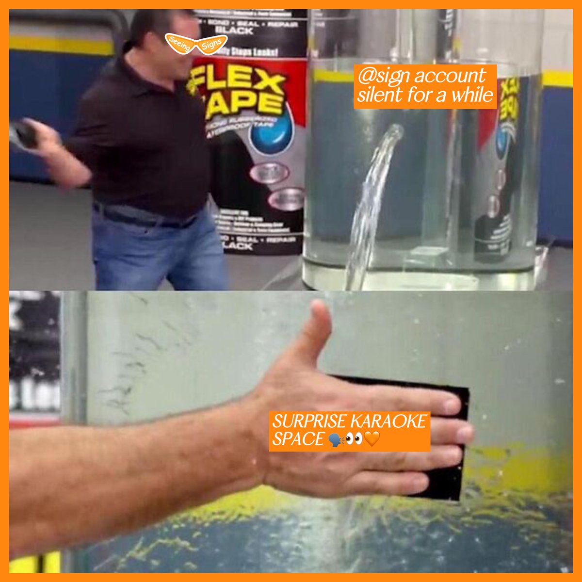 Orange Dynasty tweet media