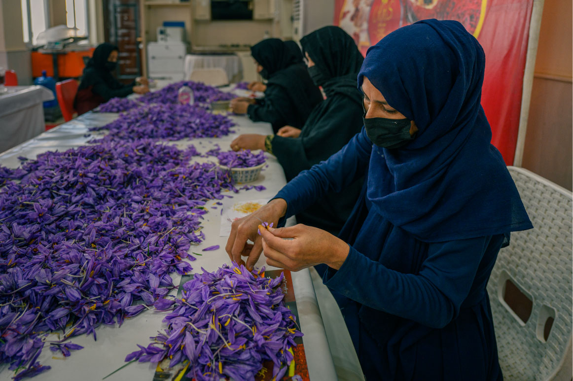 UNDP Afghanistan (@undpaf) on Twitter photo Since 2022, the EU has partnered with <a href="/UNDP/">UN Development</a> to support women-led MSMEs in Afghanistan protecting livelihoods, boosting access to finance, and strengthening resilience in one of the world’s most difficult contexts. #WomensEmpowerment #EUday
Read the full story: Since 2022, the EU has partnered with <a href="/UNDP/">UN Development</a> to support women-led MSMEs in Afghanistan protecting livelihoods, boosting access to finance, and strengthening resilience in one of the world’s most difficult contexts. #WomensEmpowerment #EUday
Read the full story: