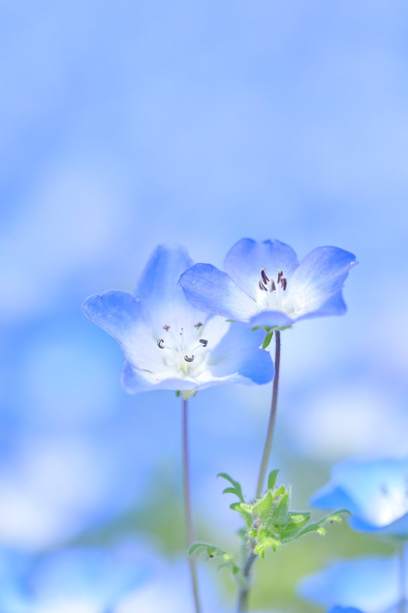 ふたり寄り添い