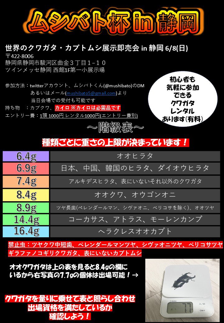 来月の虫イベントまで1ヶ月を切りました
虫バトル杯行う事になり勝者に賞品あり😊
多勢の方ご来場お待ちしています。
静岡の虫活人口を増やしたい一心です
リポストご協力お願いします🙇