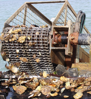 SouthernIFCA's tweet image. Live Consultation:
The Poole Harbour Several Order 2015 Management Plan (2025 Revision) under The Poole Harbour Fishery Order 2015.
Consultation is open until 23:59 on 30.05.25.
See website for more details: southern-ifca.gov.uk/live-consultat…