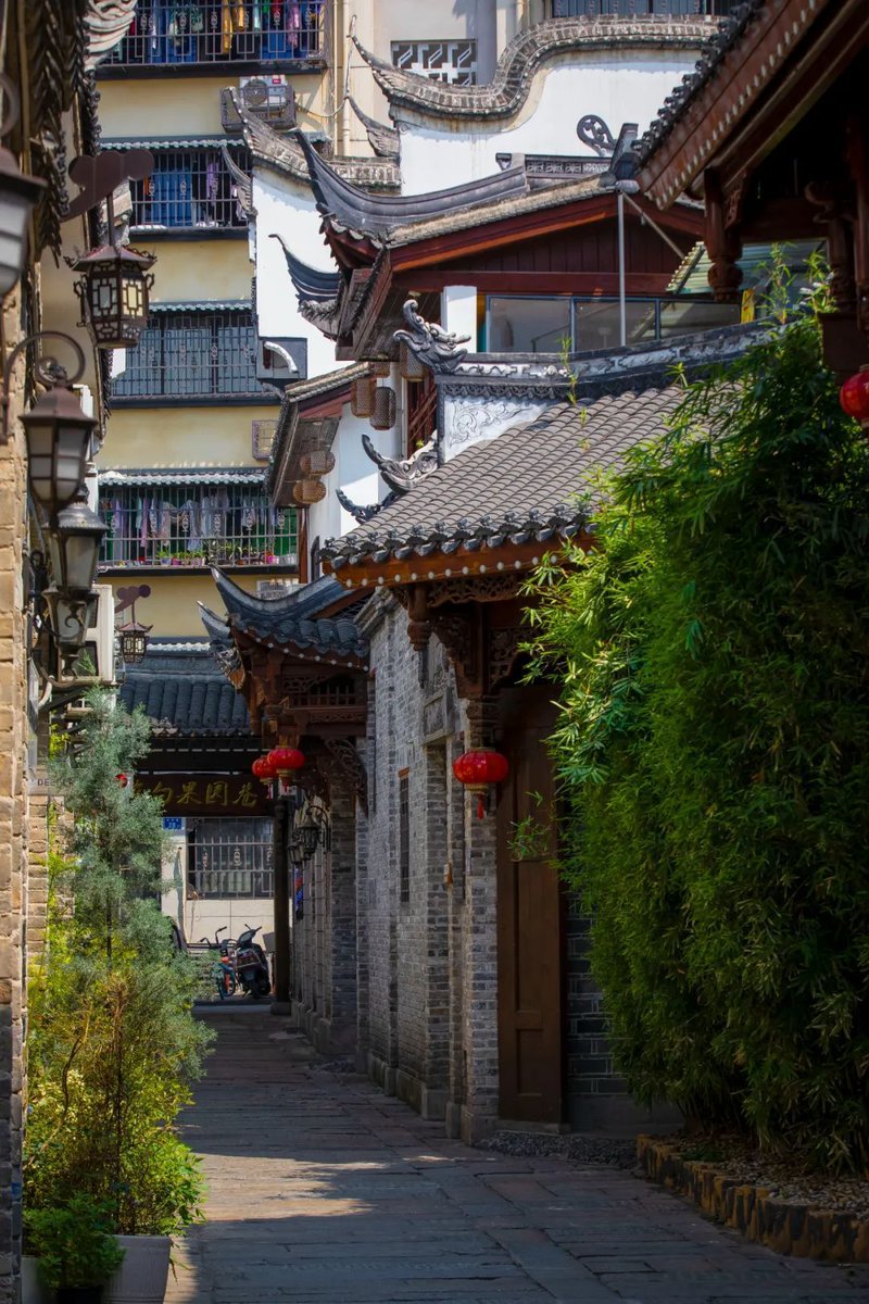 🌆 Baiguoyuan, Changsha 🍂✨
Tucked between tradition and trend, this vibrant neighborhood glows with life - from cozy street eats to hidden art corners. A must-explore for urban wanderers!