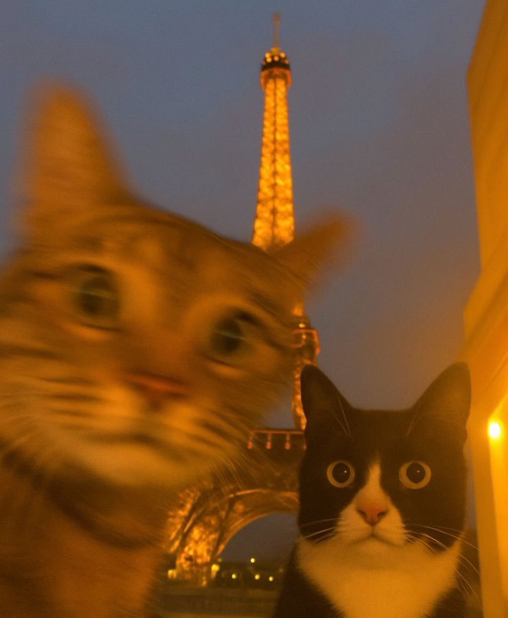 มันแผว tweet media