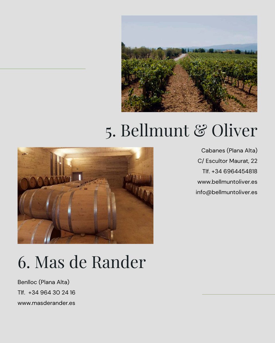 🍷🍇 BODEGAS IGP CASTELLÓ I

 🔹La Canetana – Canet lo Roig 
 🔹L’Estanquer – Canet lo Roig
 🔹Cooperativa de Viver – Viver
 🔹Bodega Alcovi – Almedíjar
 🔹Bellmunt Oliver Viticultors – Cabanes
 🔹Mas de Rander – Benlloc

#IGPCastelló #Enoturismo #Castellón  #bodegas #bodegasigp