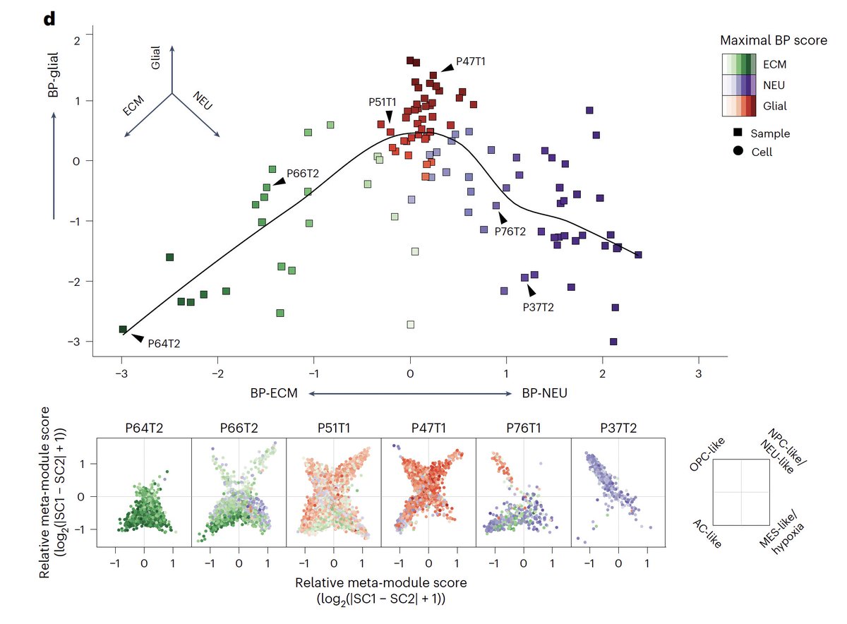 9/ Third, after controlling for the frequencies of cellular states, we find that the remaining variation between GBM samples highlights three baseline gene expression programs which we labeled Neuronal, Glial, and Extracellular Matrix.