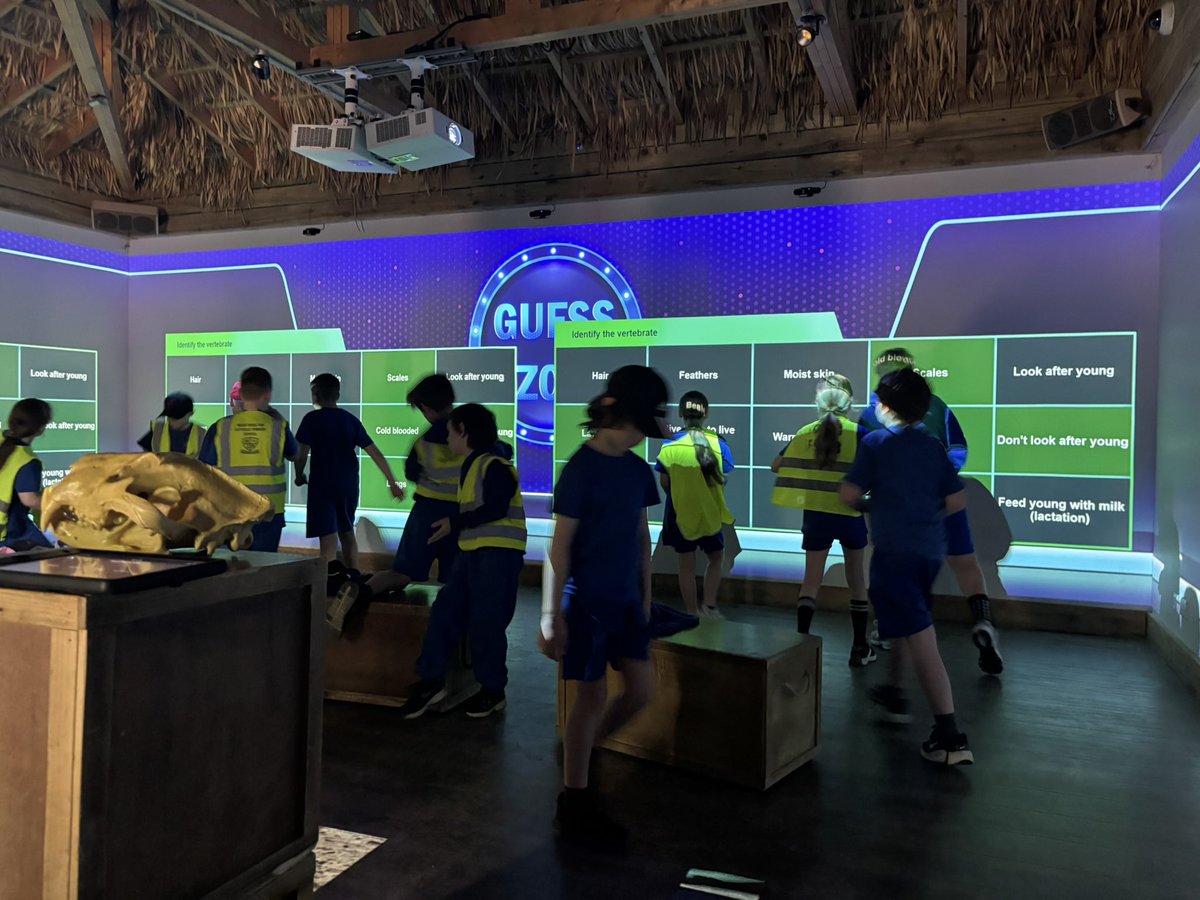 Year 4 had a wonderful time exploring Chester Zoo !!
<a href="/muchwooltonsch/">Much Woolton School</a>
#muchwooltonscience