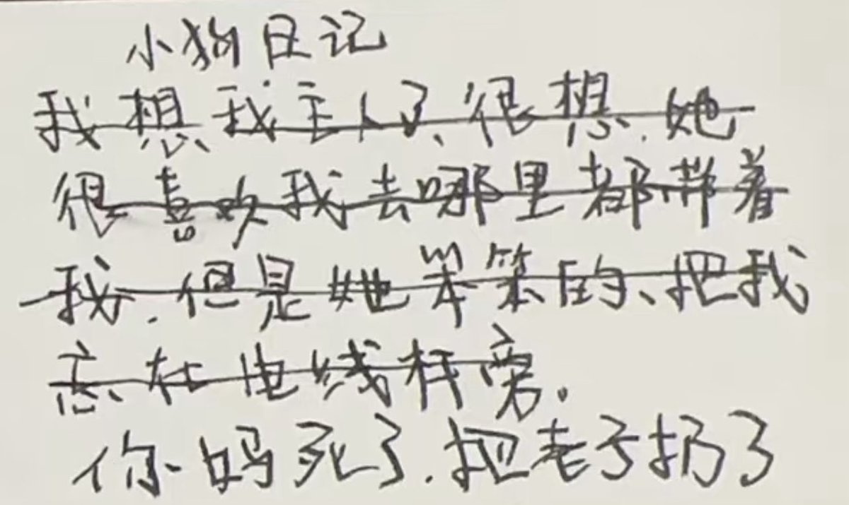 白磷型小猫日记